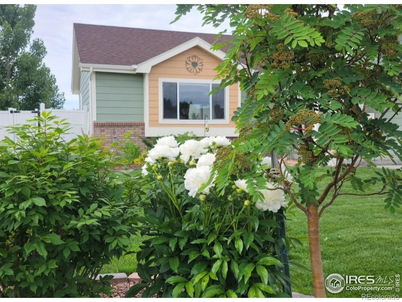 MLS Image #36 for 3705  mount spalding street,wellington, Colorado