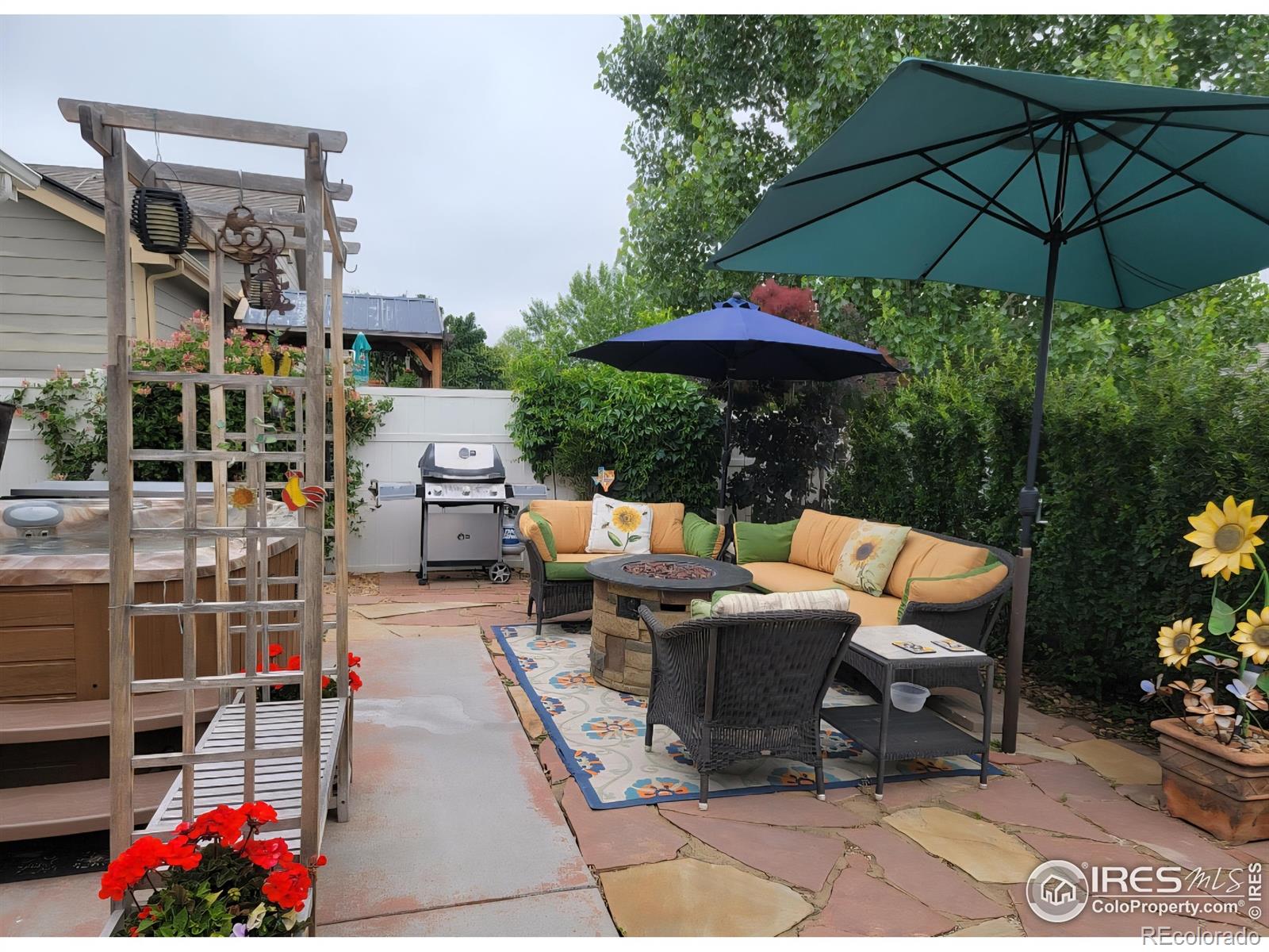 MLS Image #39 for 3705  mount spalding street,wellington, Colorado