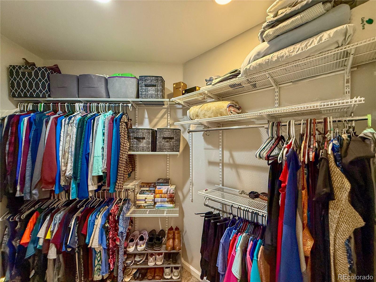 MLS Image #11 for 340  judy ,burlington, Colorado