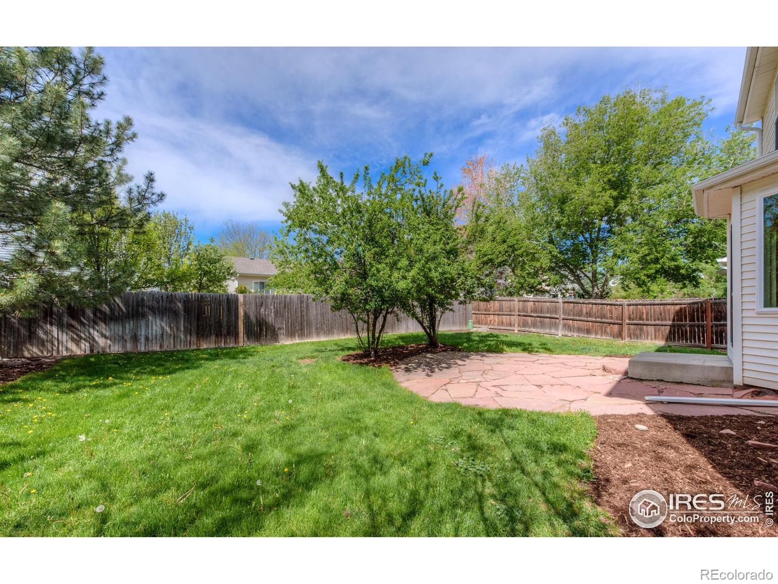 MLS Image #12 for 1295  cumberland drive,longmont, Colorado