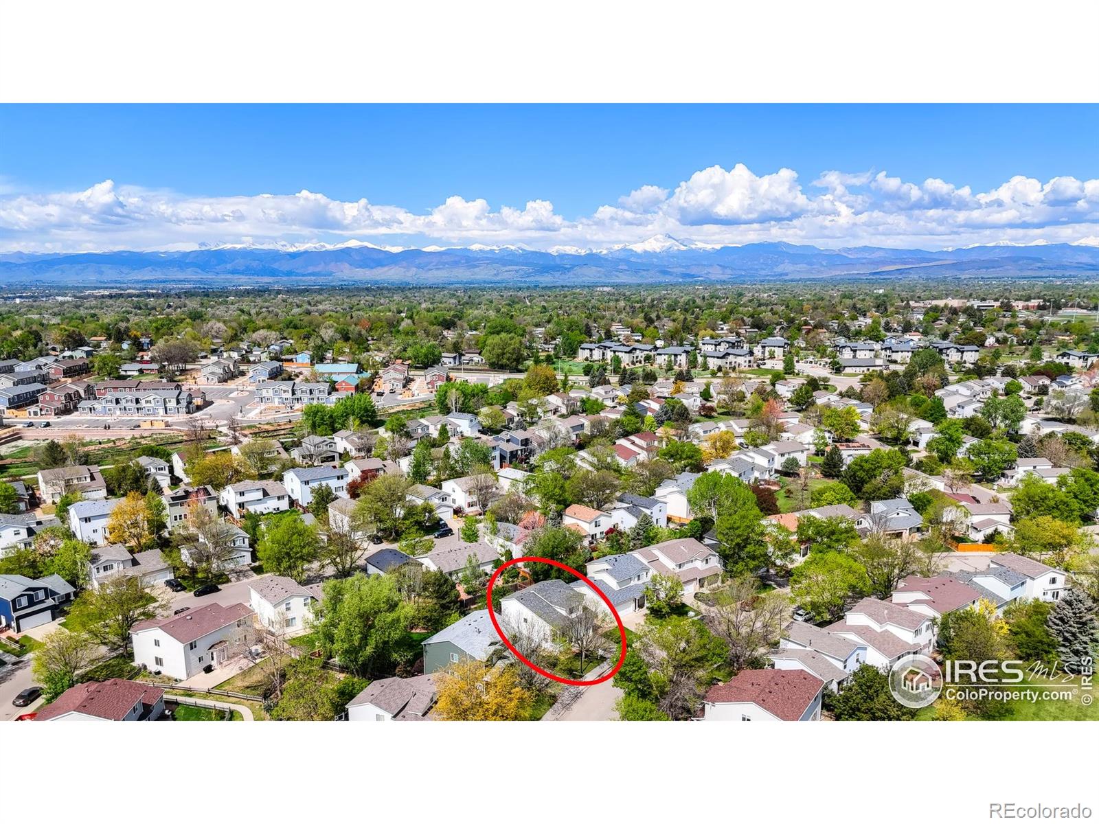 MLS Image #13 for 1295  cumberland drive,longmont, Colorado