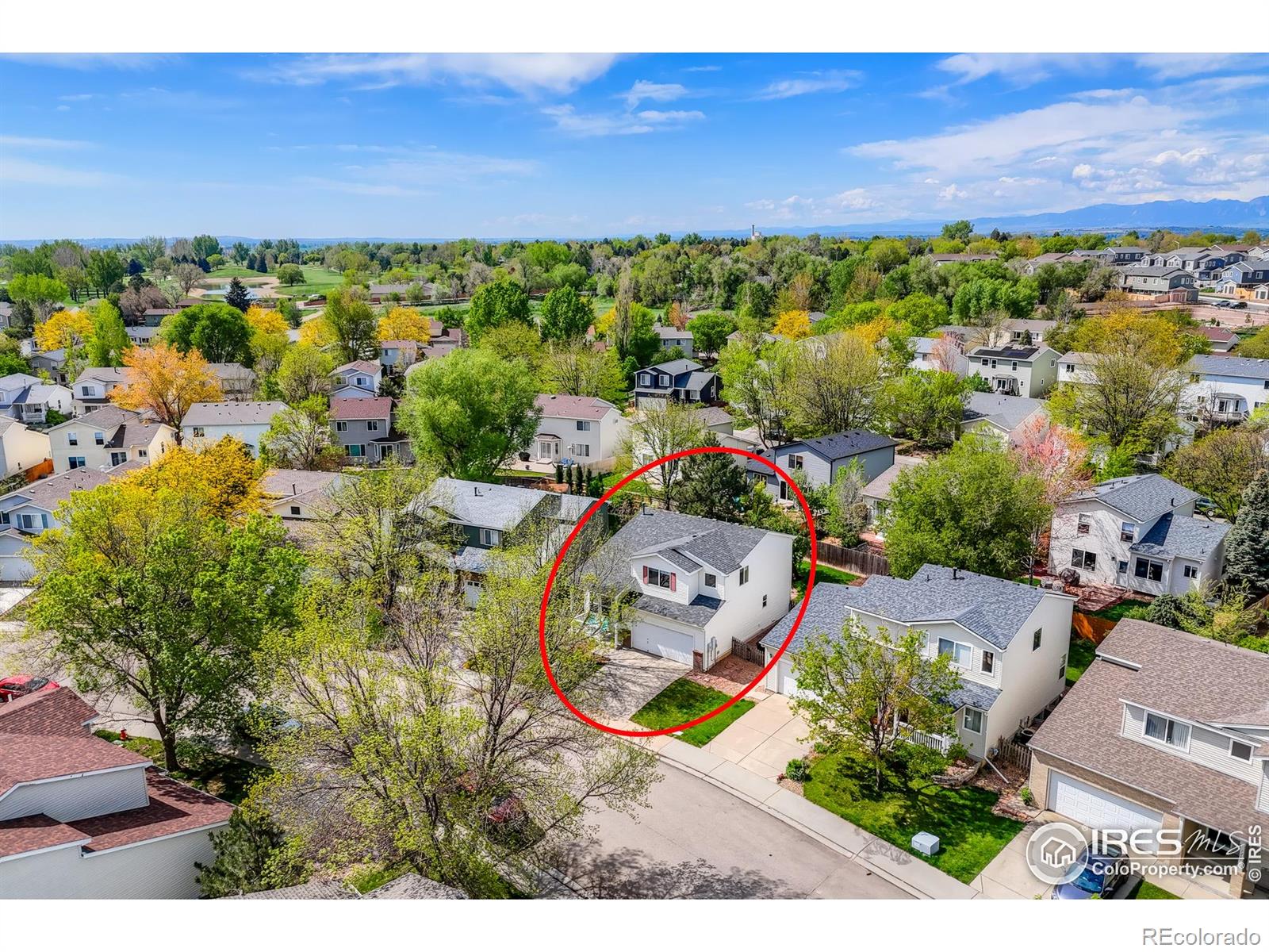MLS Image #14 for 1295  cumberland drive,longmont, Colorado