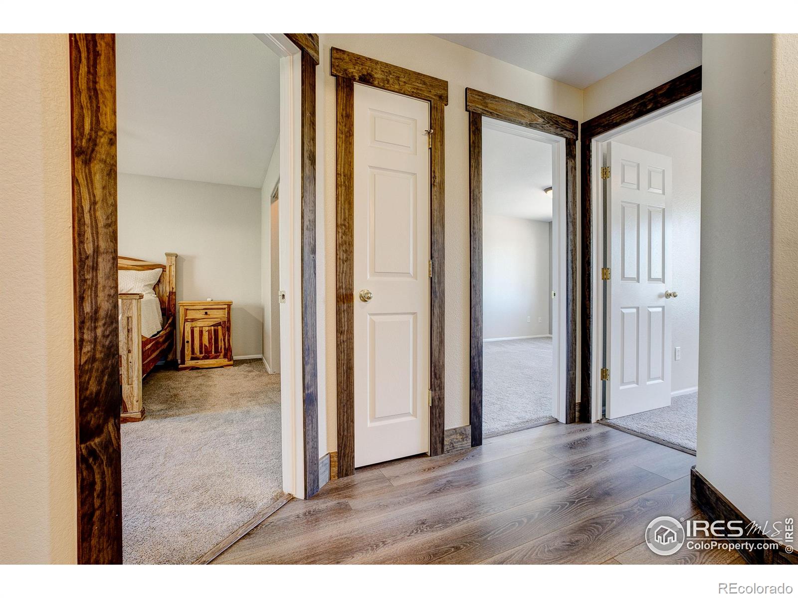 MLS Image #14 for 3530  homestead drive,mead, Colorado