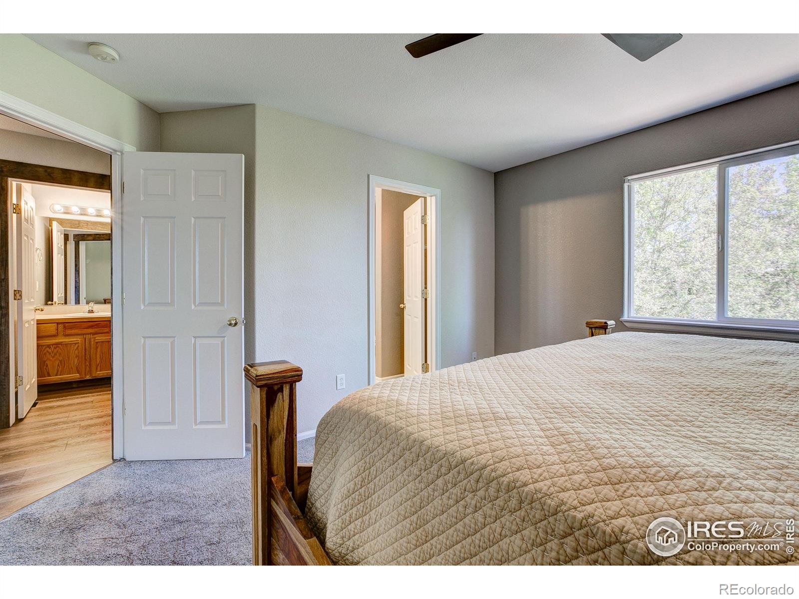 MLS Image #16 for 3530  homestead drive,mead, Colorado