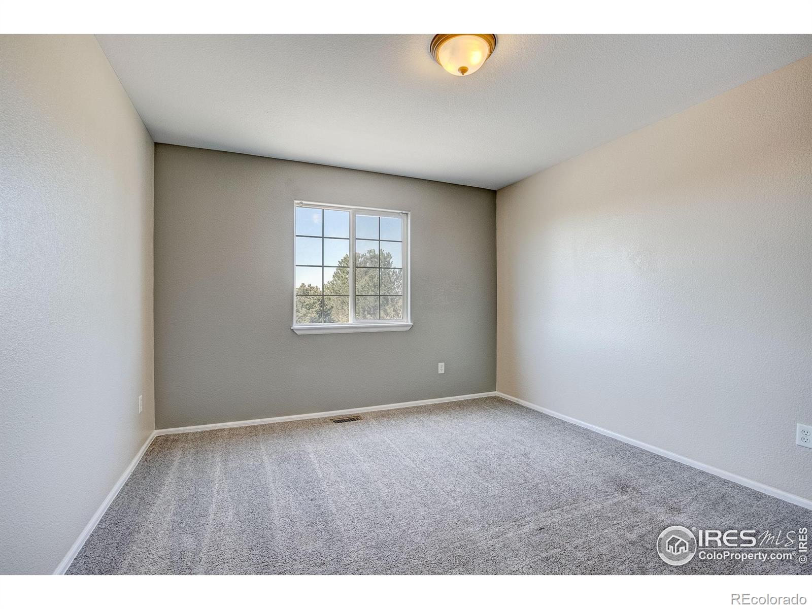 MLS Image #20 for 3530  homestead drive,mead, Colorado