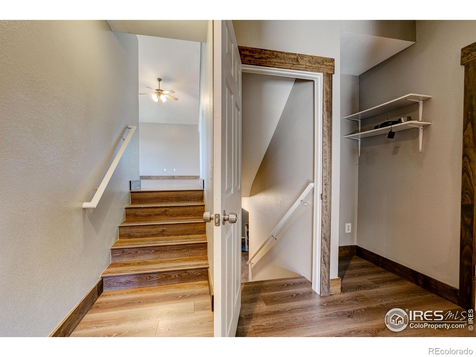MLS Image #22 for 3530  homestead drive,mead, Colorado