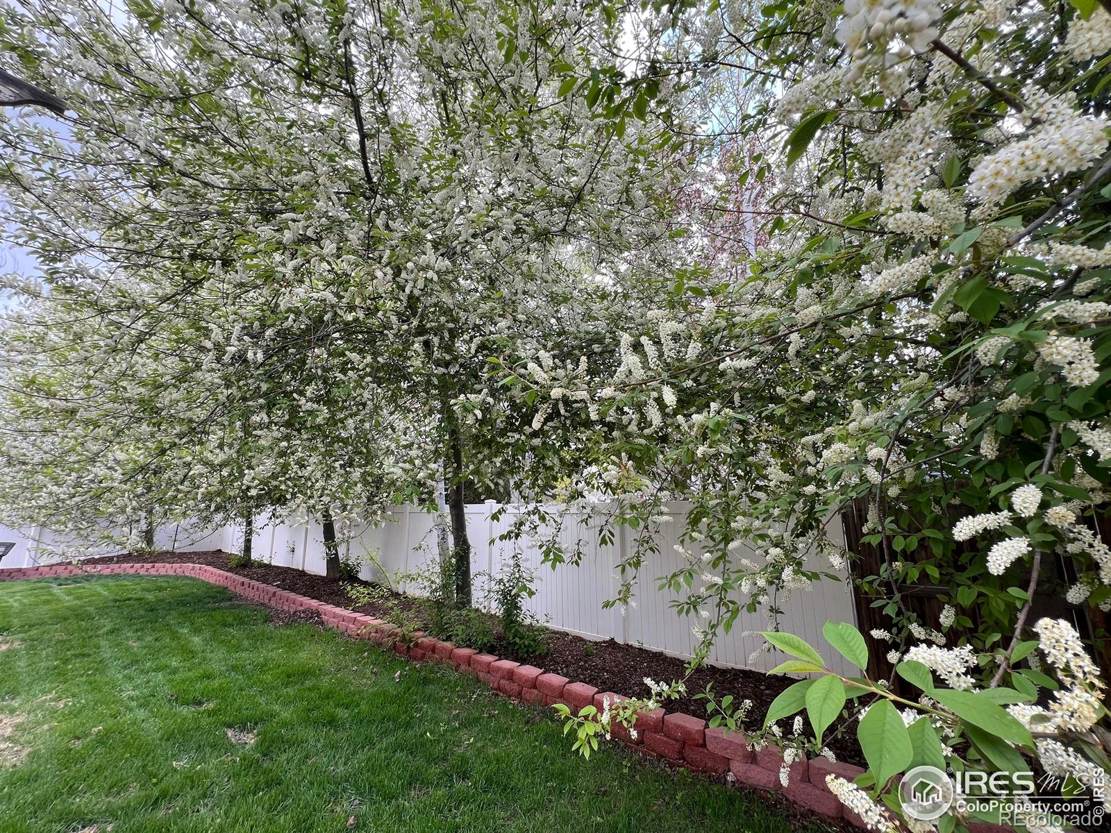 MLS Image #31 for 3530  homestead drive,mead, Colorado