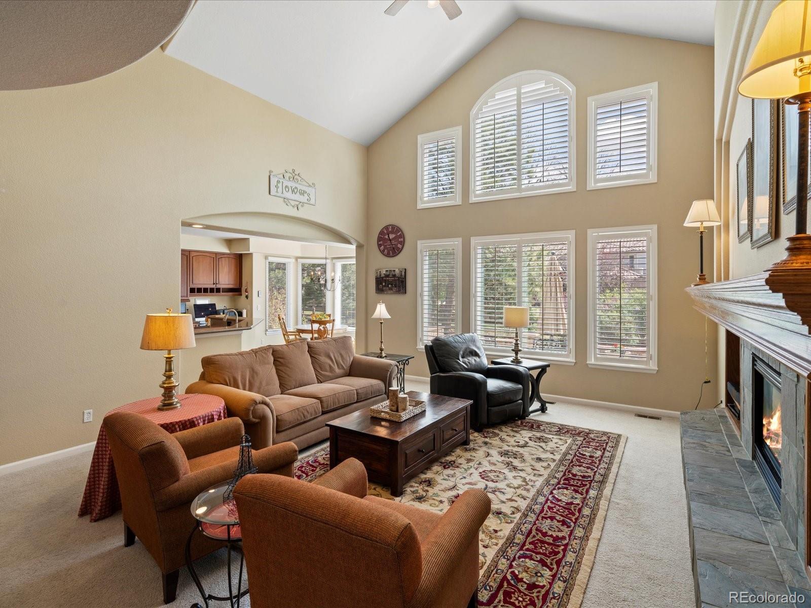 MLS Image #16 for 5700 s benton circle,littleton, Colorado
