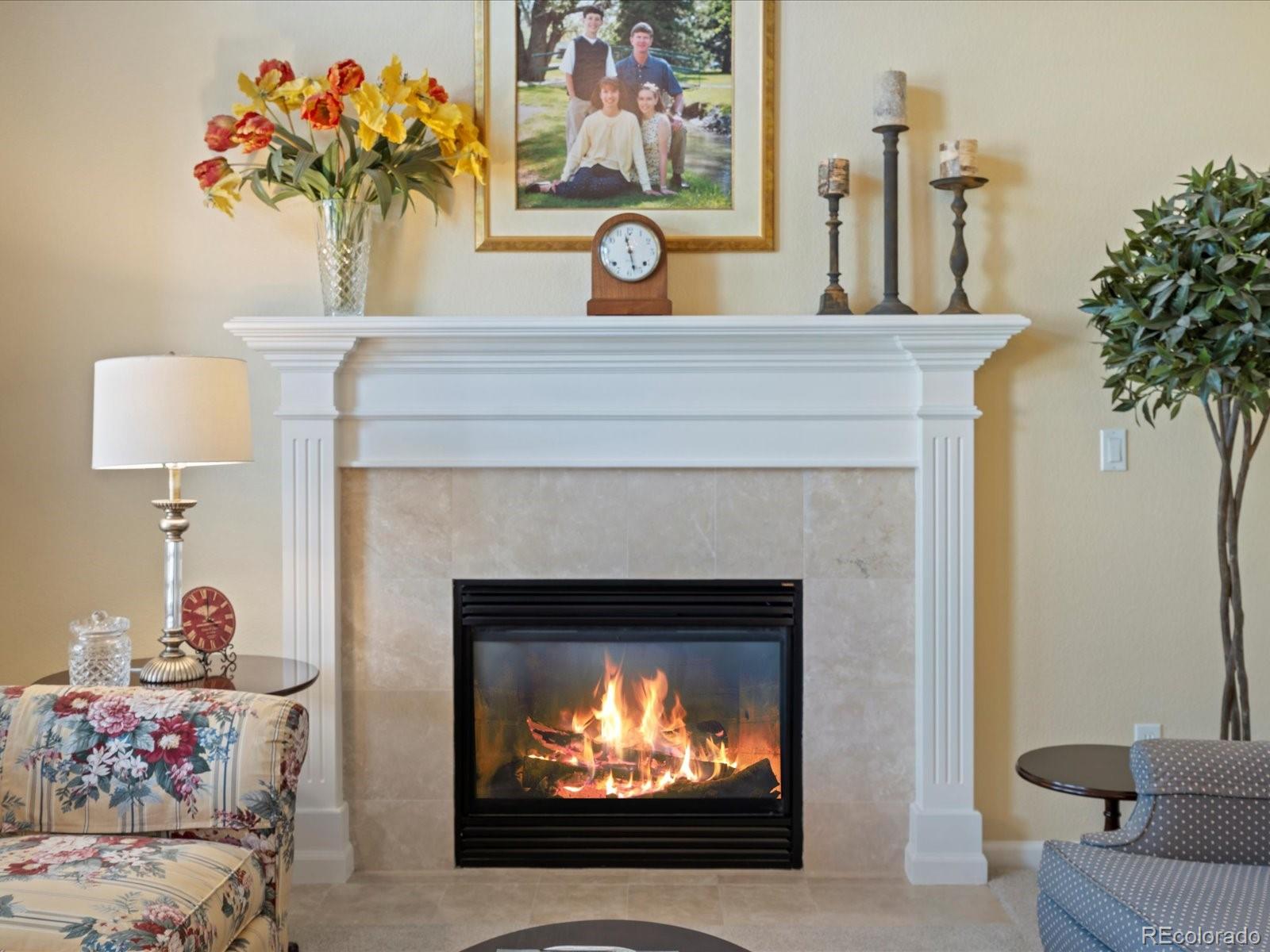 MLS Image #9 for 5700 s benton circle,littleton, Colorado