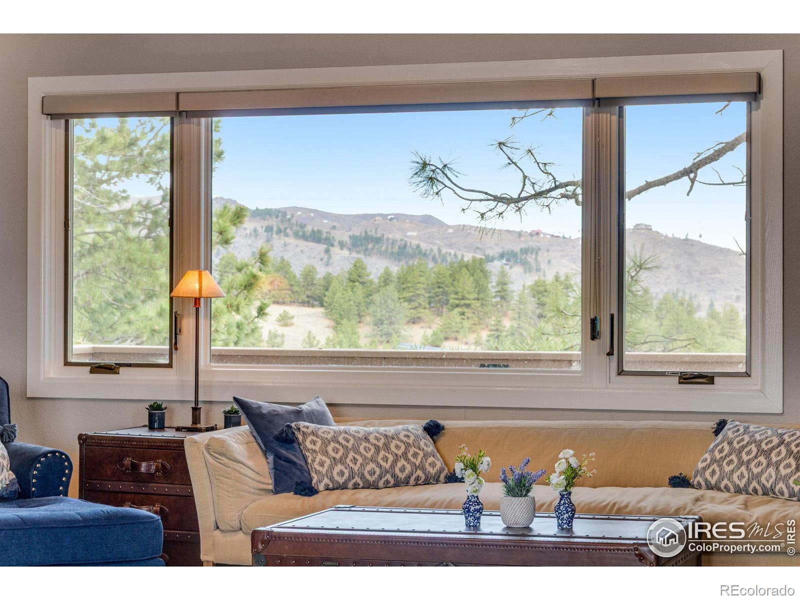 MLS Image #30 for 6300  feldspar court,bellvue, Colorado