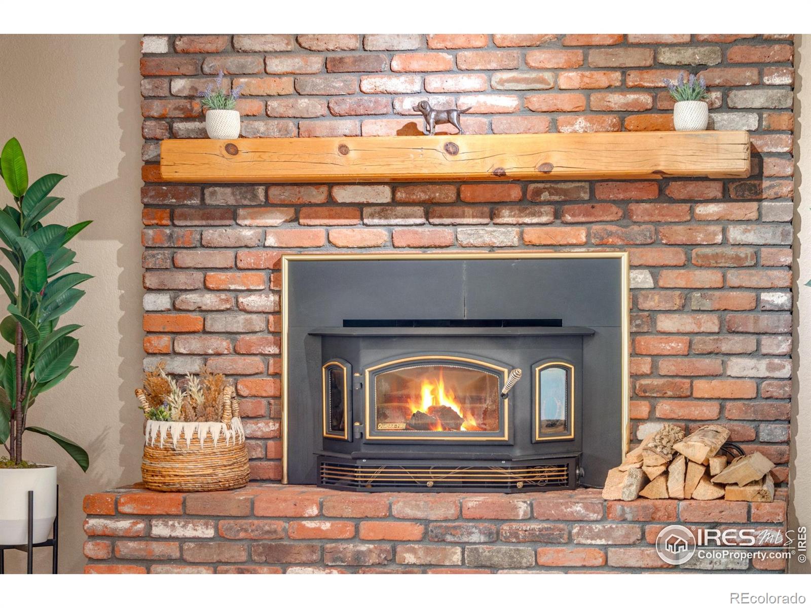 MLS Image #37 for 6300  feldspar court,bellvue, Colorado