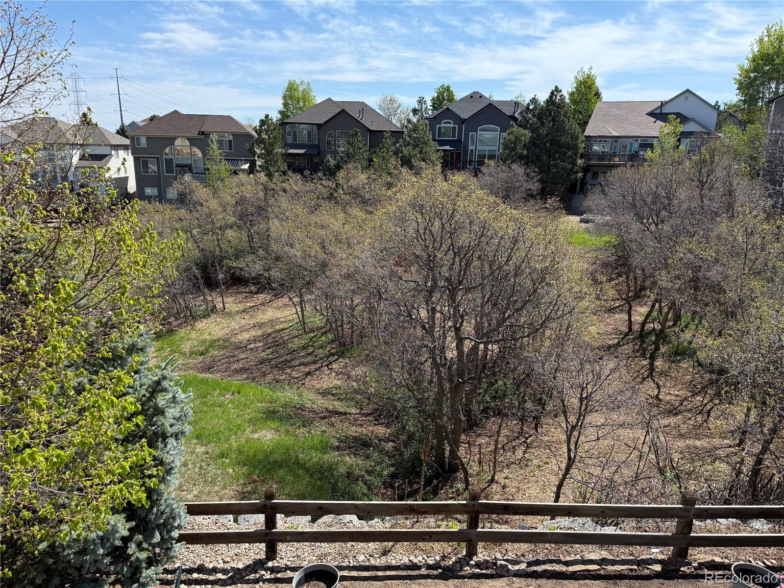 MLS Image #4 for 12380  jasper pointe way,castle pines, Colorado