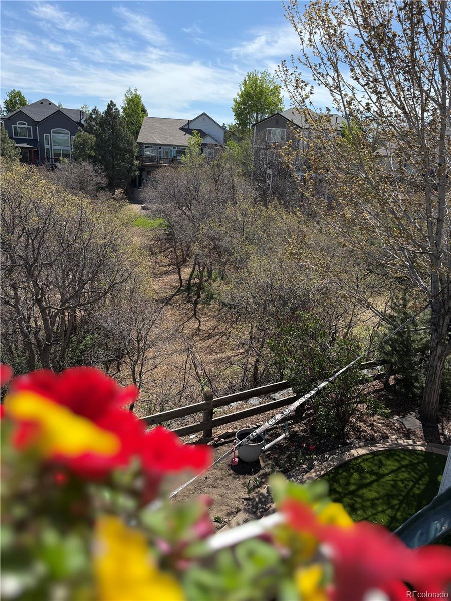 MLS Image #5 for 12380  jasper pointe way,castle pines, Colorado