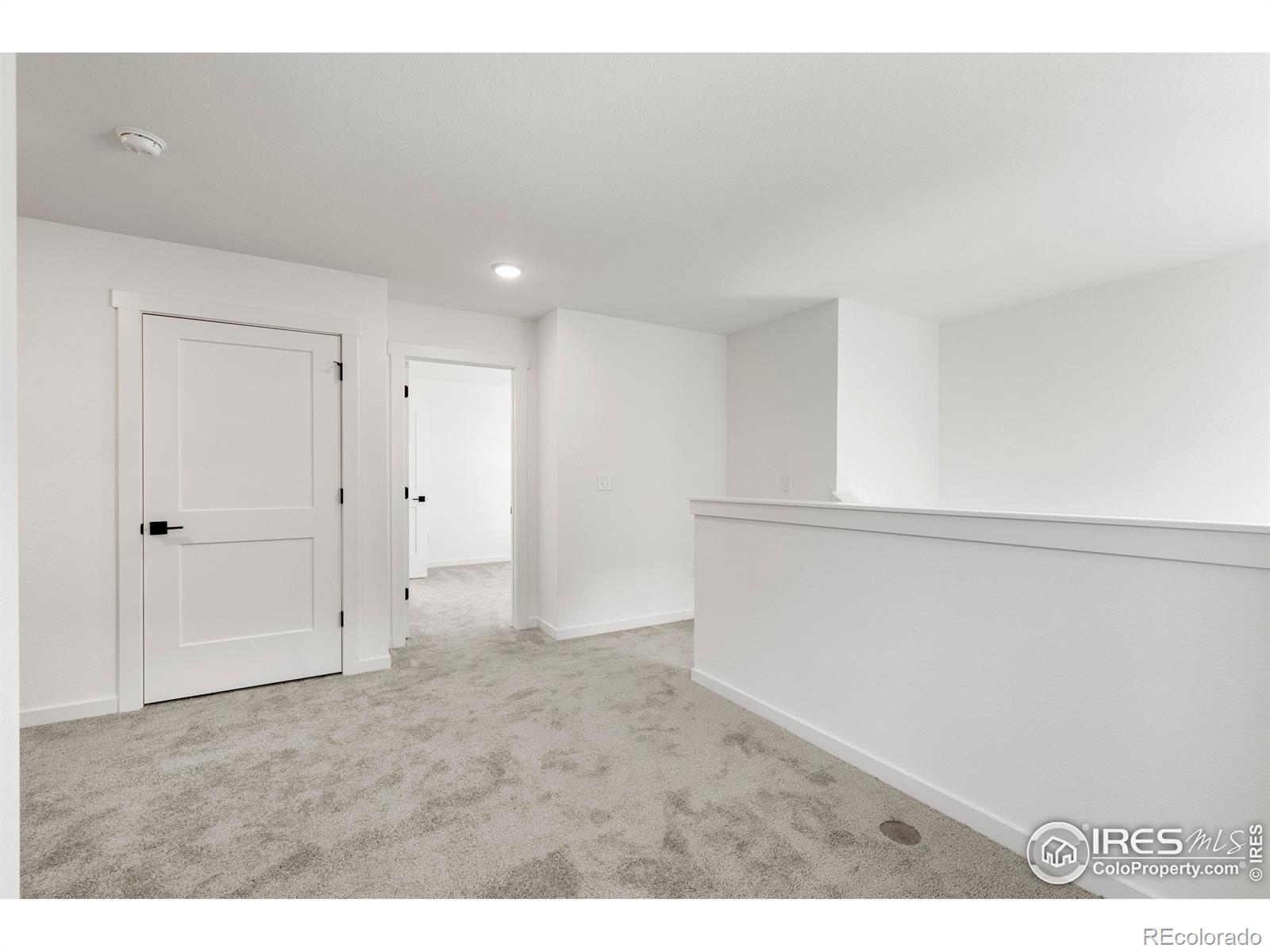 MLS Image #19 for 4499  parkline street,timnath, Colorado