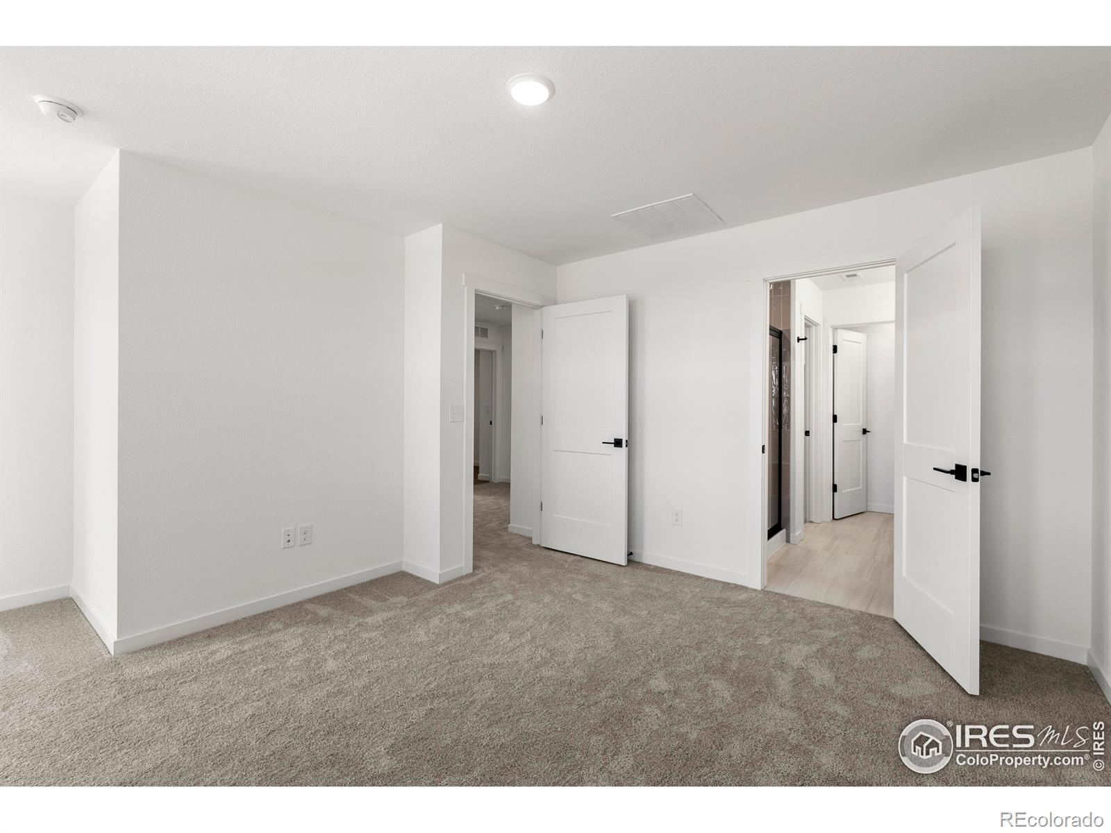 MLS Image #24 for 4499  parkline street,timnath, Colorado