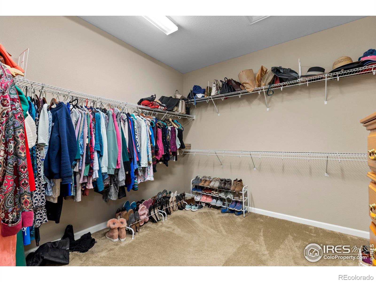 MLS Image #24 for 2551  cub lake court,loveland, Colorado