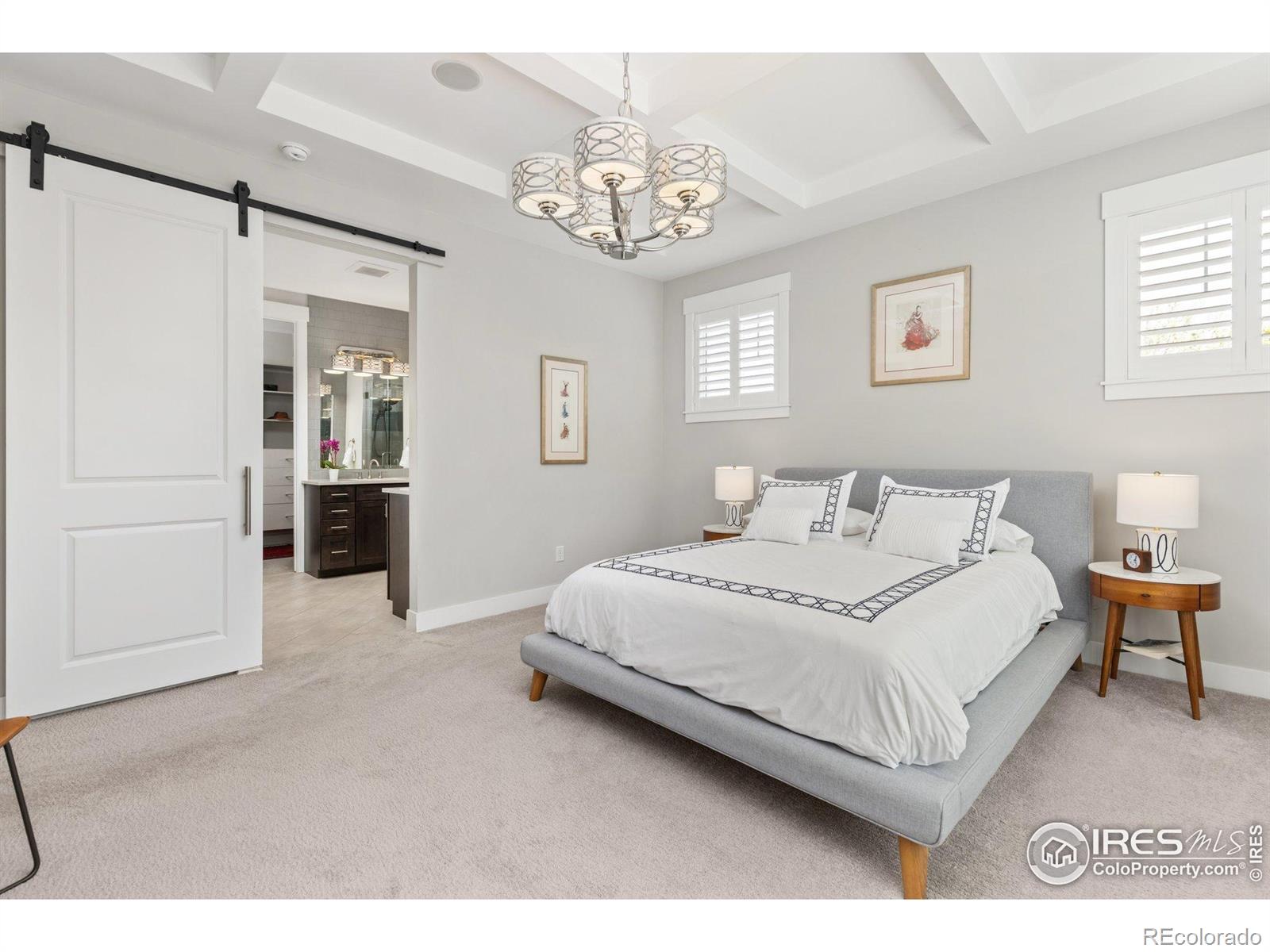 MLS Image #16 for 2026  braeburn court,longmont, Colorado