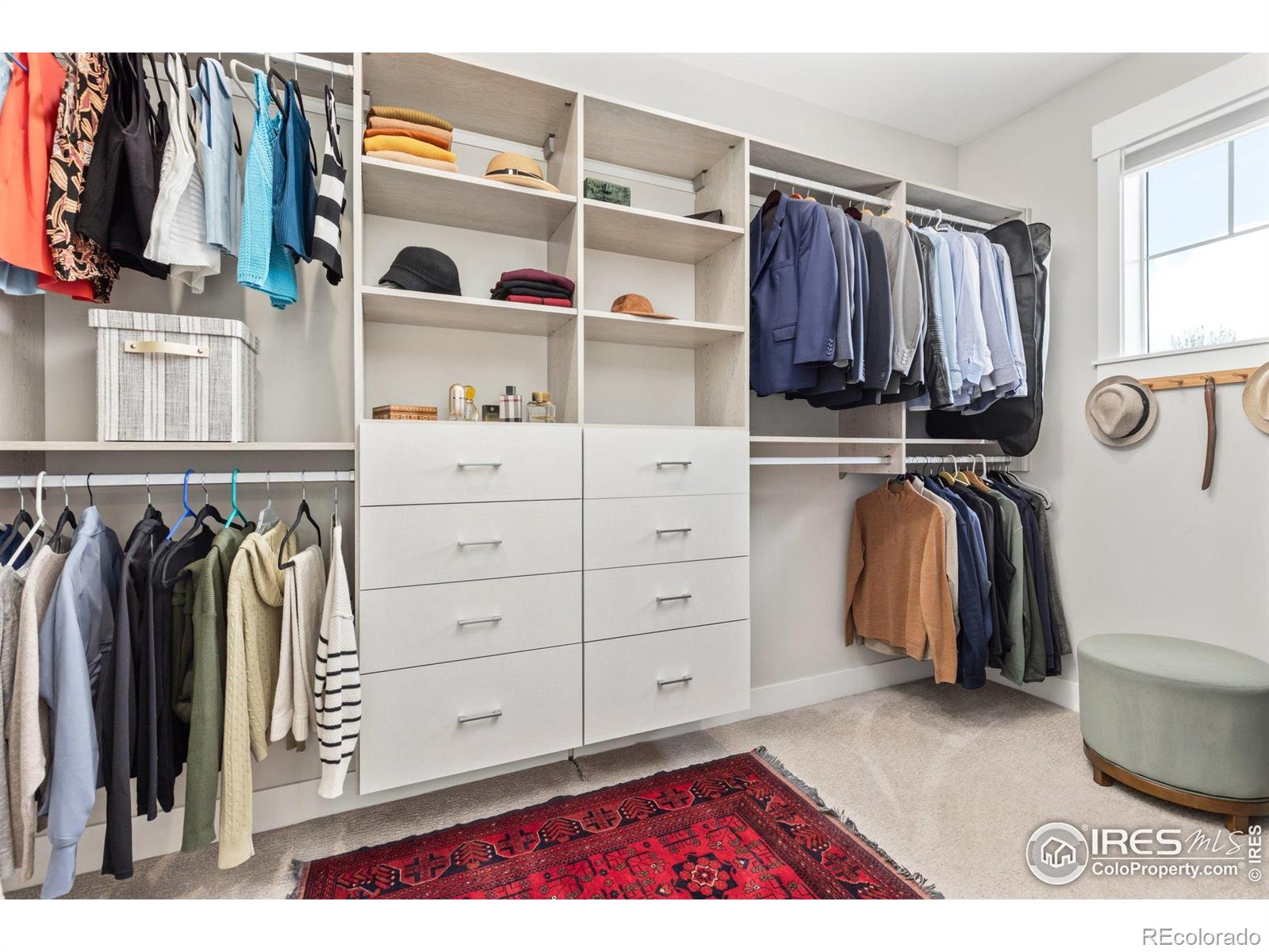 MLS Image #18 for 2026  braeburn court,longmont, Colorado