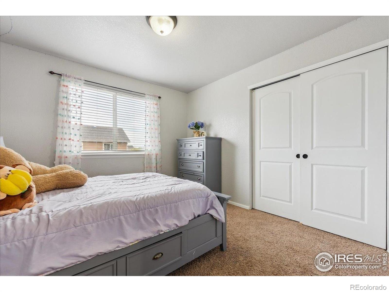 MLS Image #19 for 2936  aspen avenue,greeley, Colorado