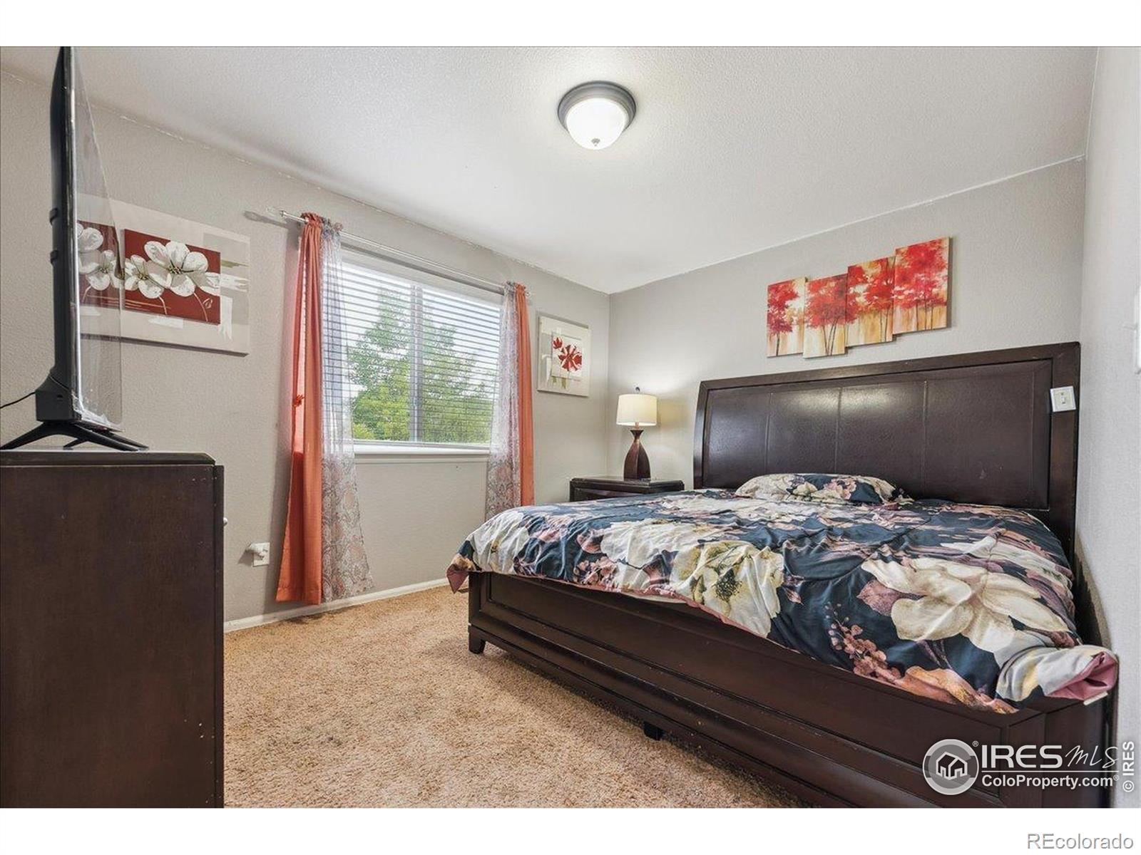 MLS Image #20 for 2936  aspen avenue,greeley, Colorado