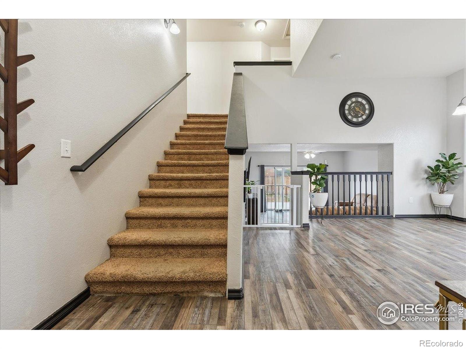MLS Image #3 for 2936  aspen avenue,greeley, Colorado