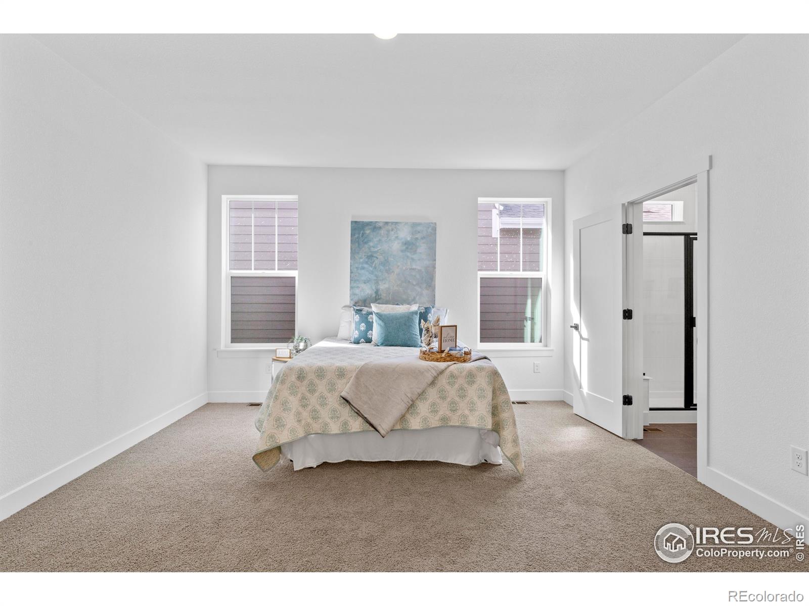 MLS Image #13 for 4517  parkline street,timnath, Colorado