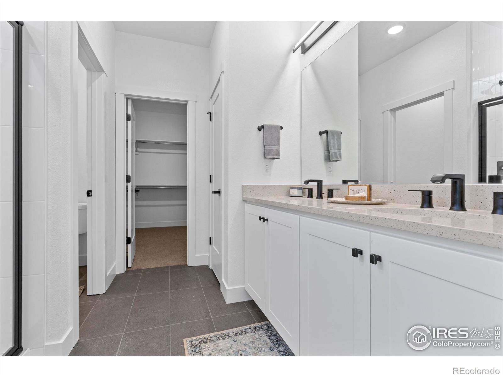 MLS Image #6 for 4517  parkline street,timnath, Colorado