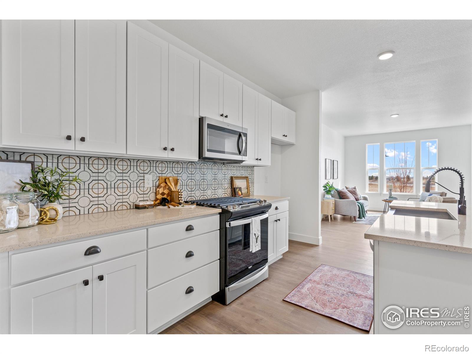 MLS Image #7 for 4517  parkline street,timnath, Colorado