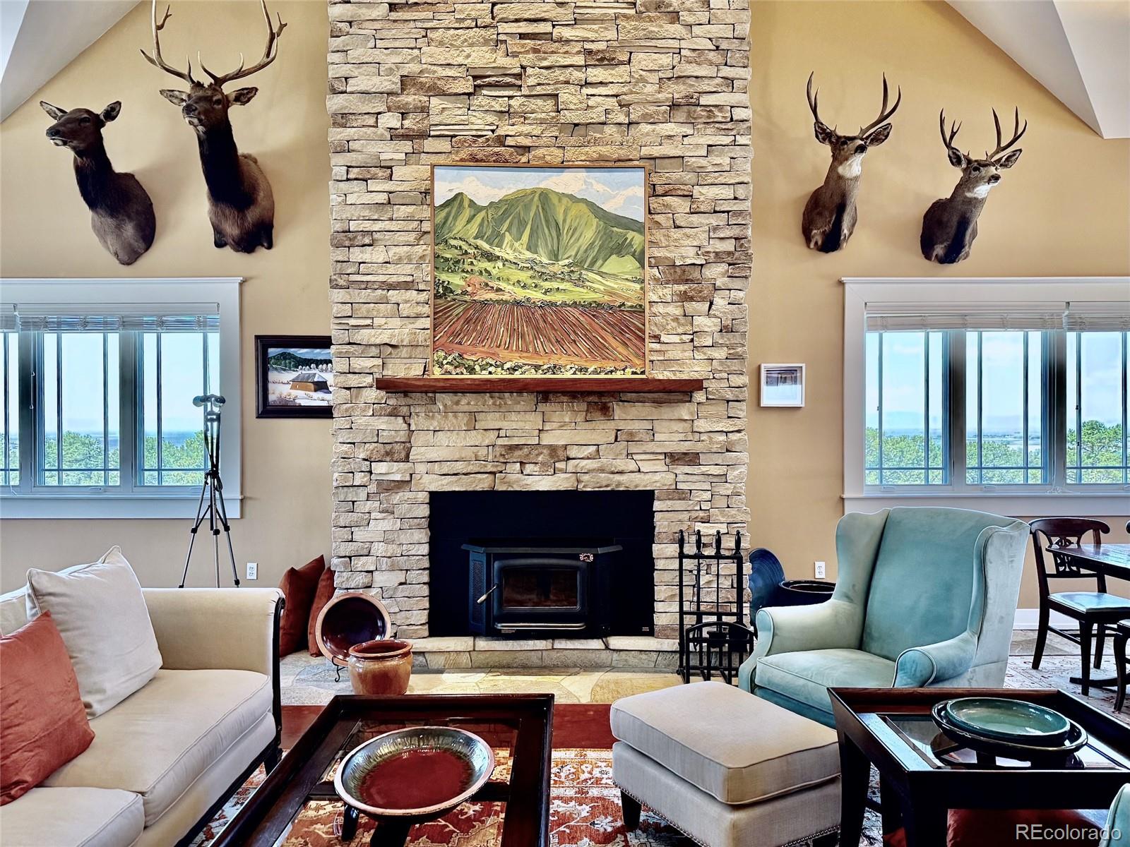 MLS Image #6 for 637  panorama way,crestone, Colorado