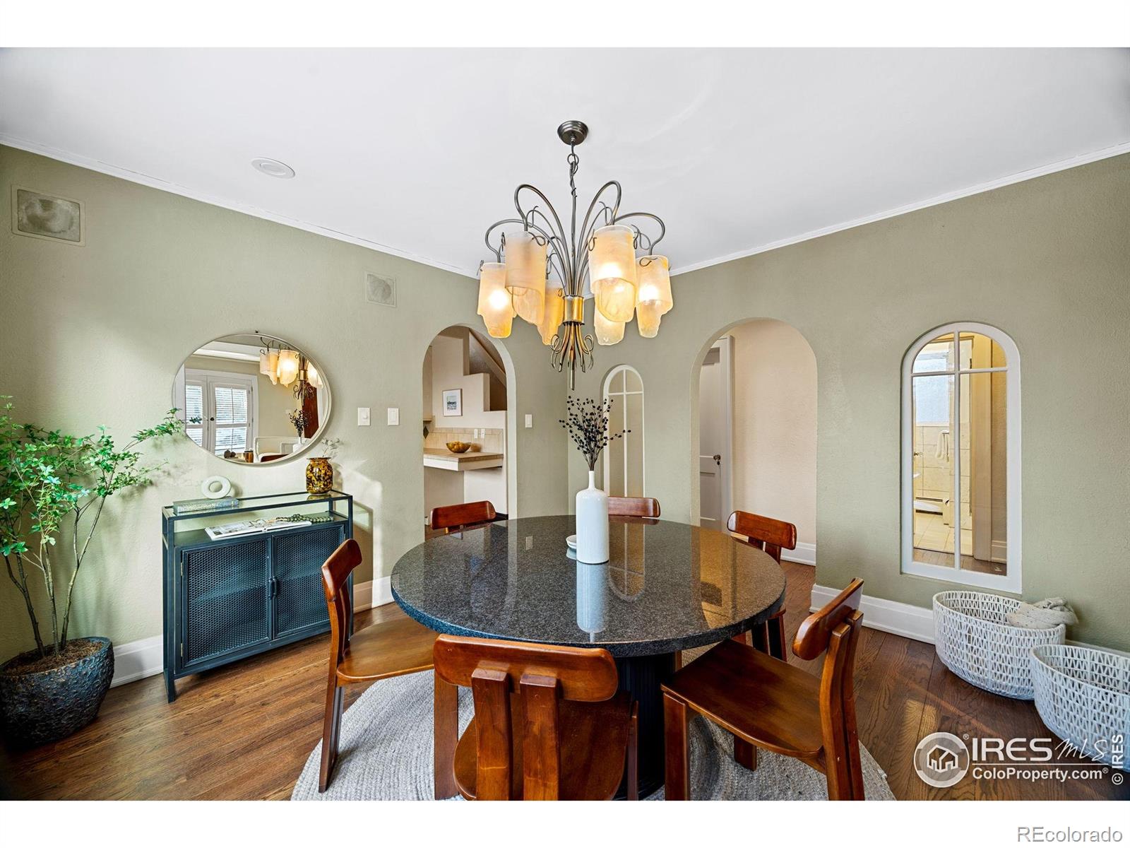 MLS Image #14 for 229  albion street,denver, Colorado