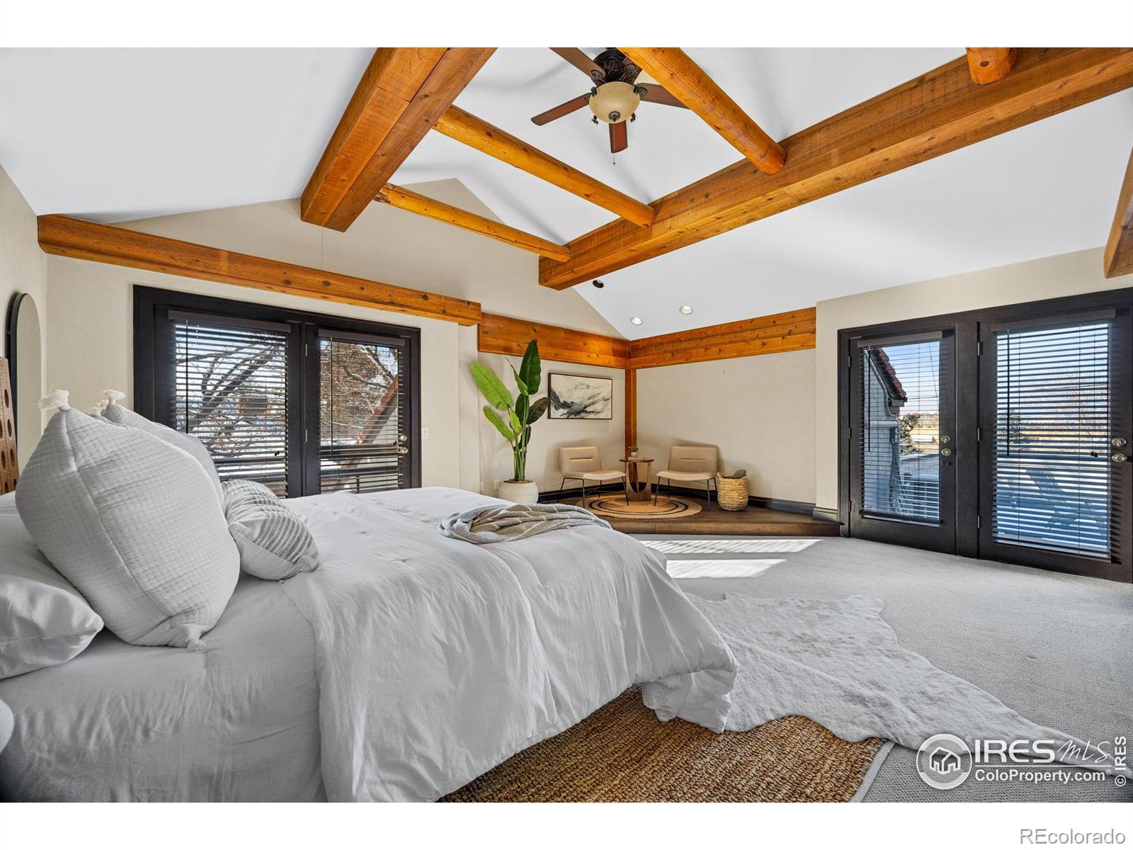 MLS Image #18 for 229  albion street,denver, Colorado