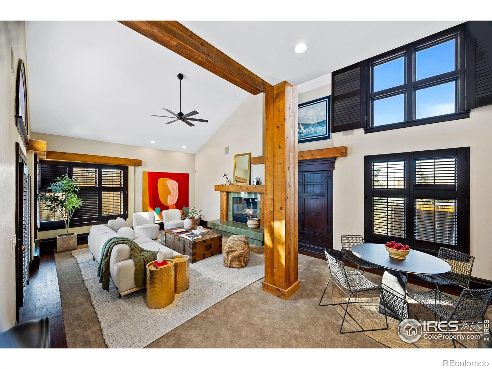 MLS Image #2 for 229  albion street,denver, Colorado