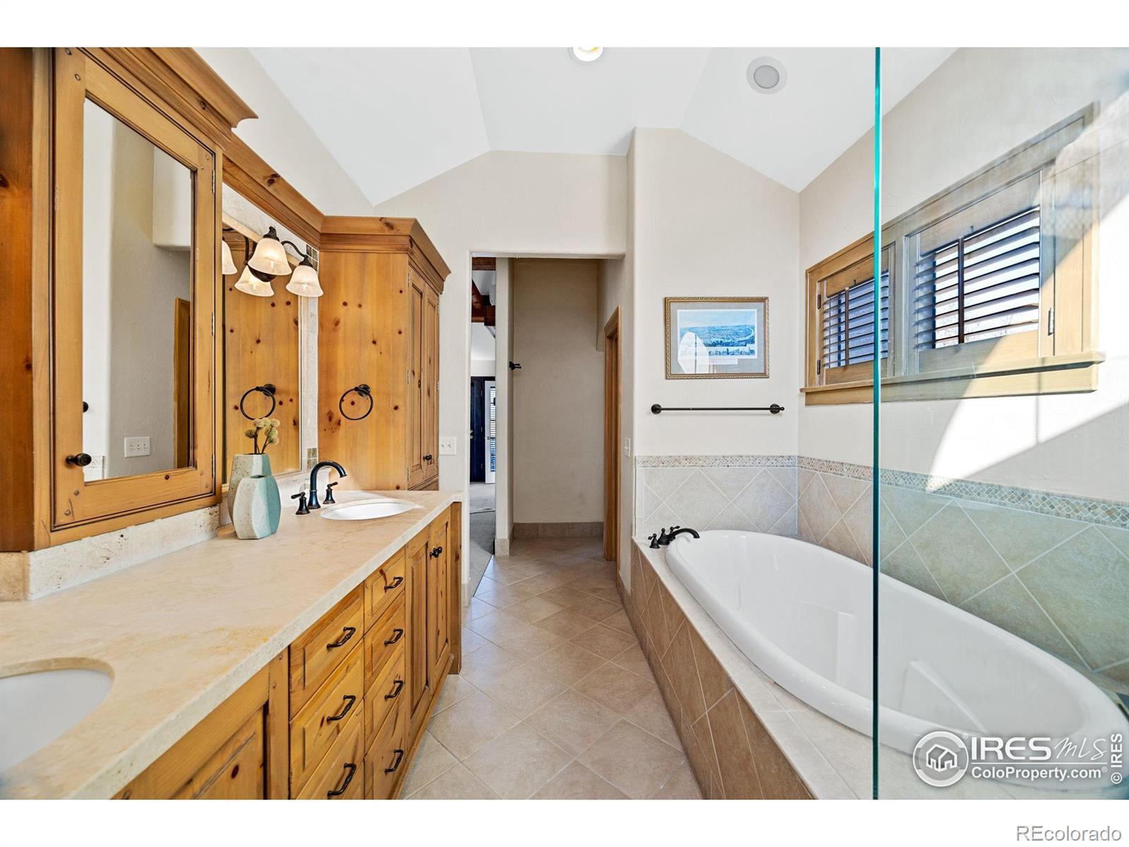 MLS Image #22 for 229  albion street,denver, Colorado