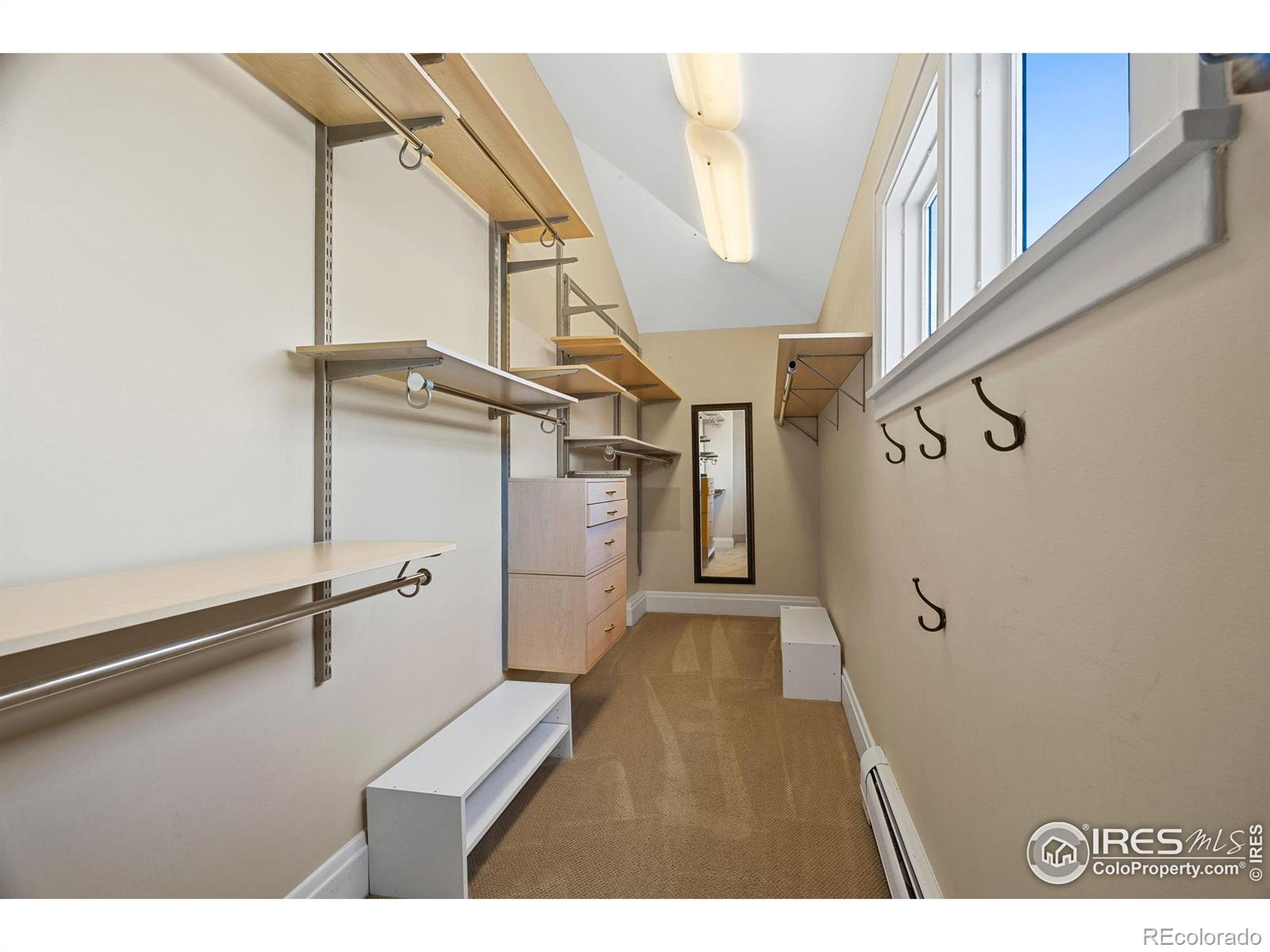 MLS Image #23 for 229  albion street,denver, Colorado