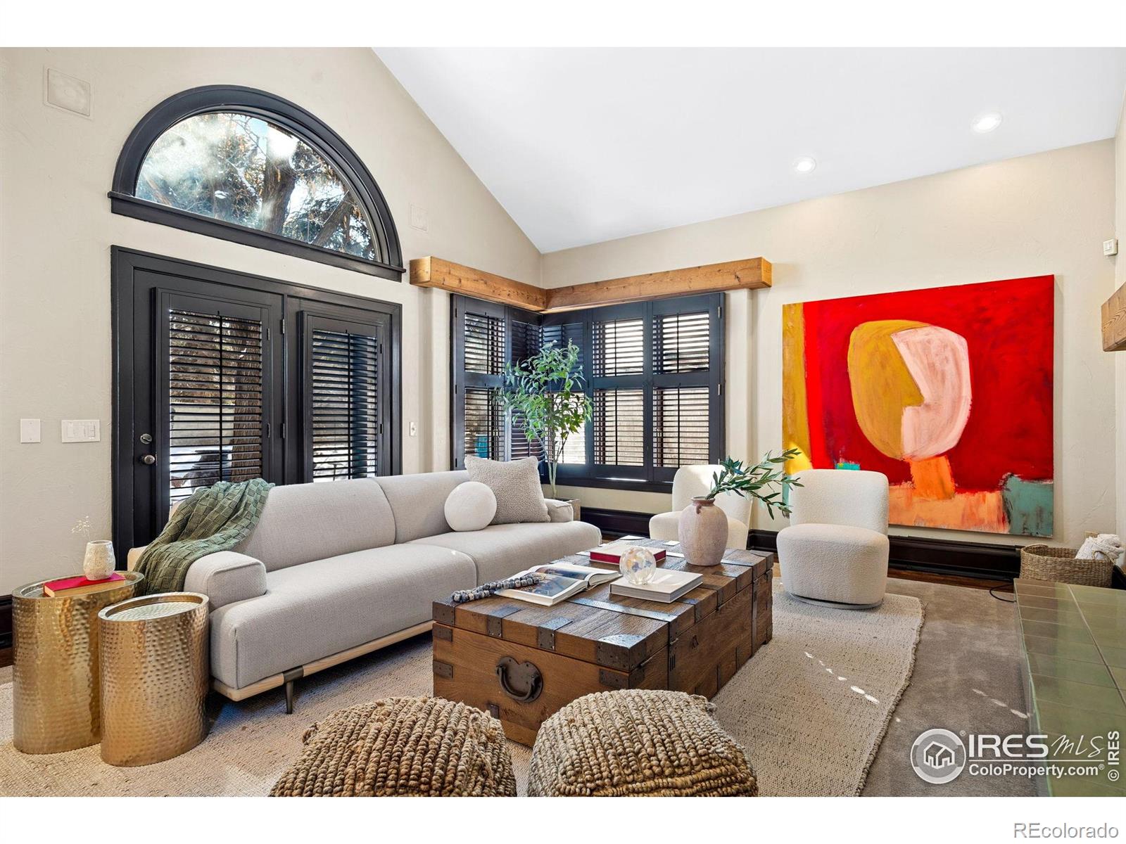 MLS Image #4 for 229  albion street,denver, Colorado