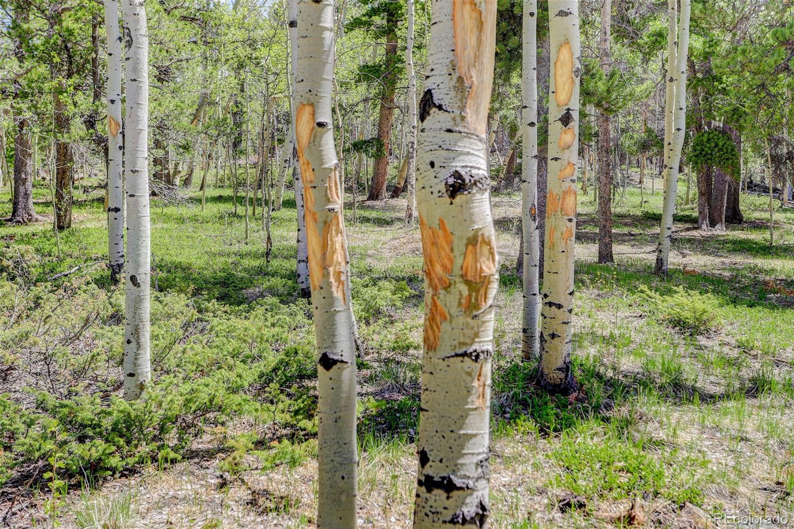 MLS Image #37 for 300  badger road,black hawk, Colorado