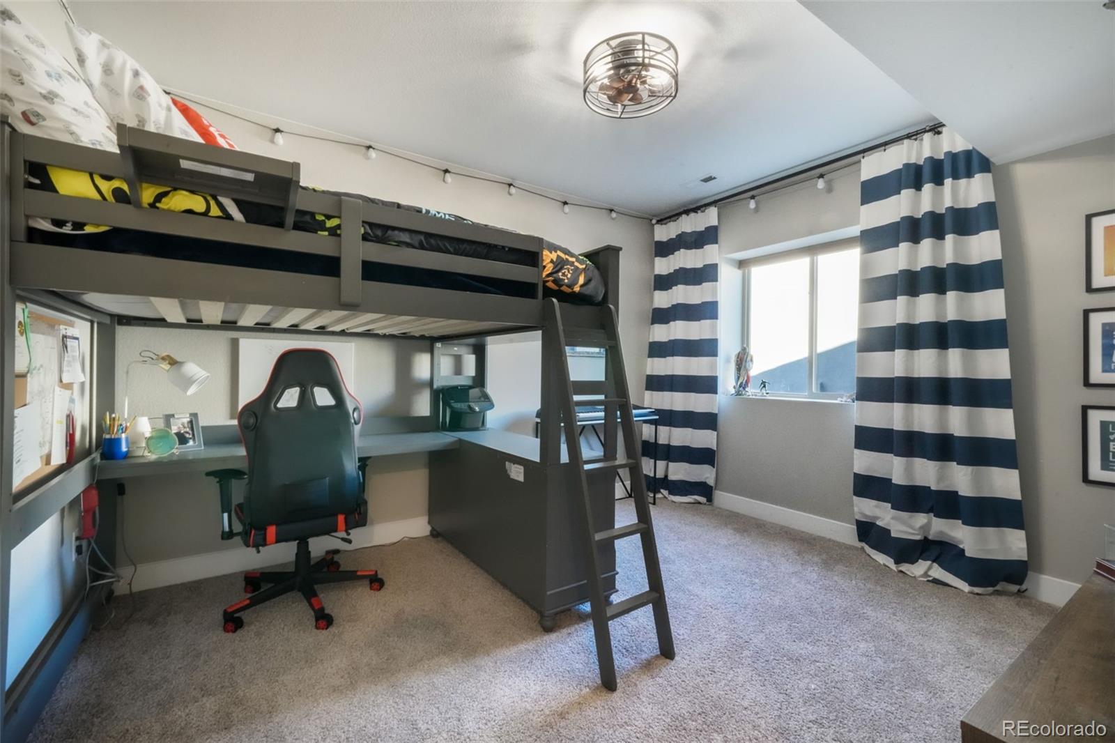 MLS Image #36 for 1004  tree bark terrace,colorado springs, Colorado