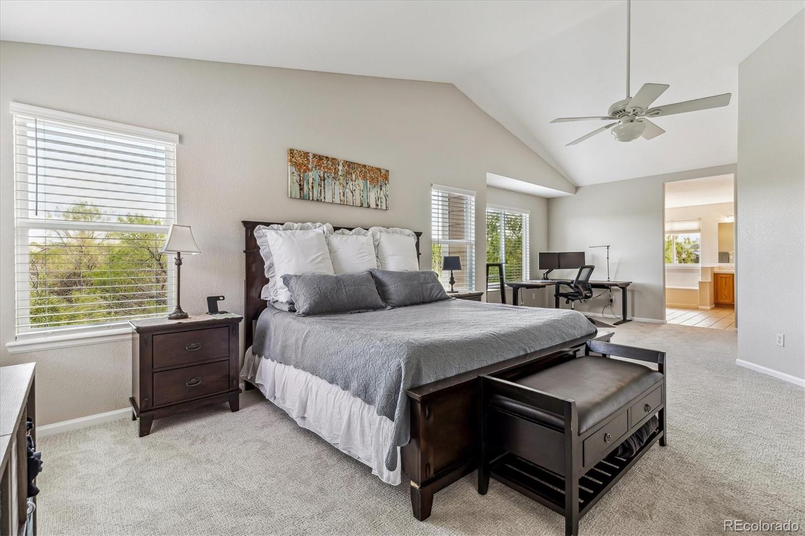 MLS Image #15 for 22302  quail run way,parker, Colorado