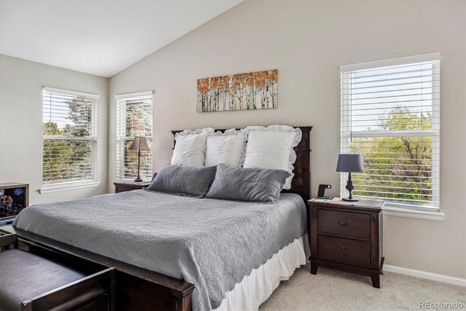 MLS Image #16 for 22302  quail run way,parker, Colorado
