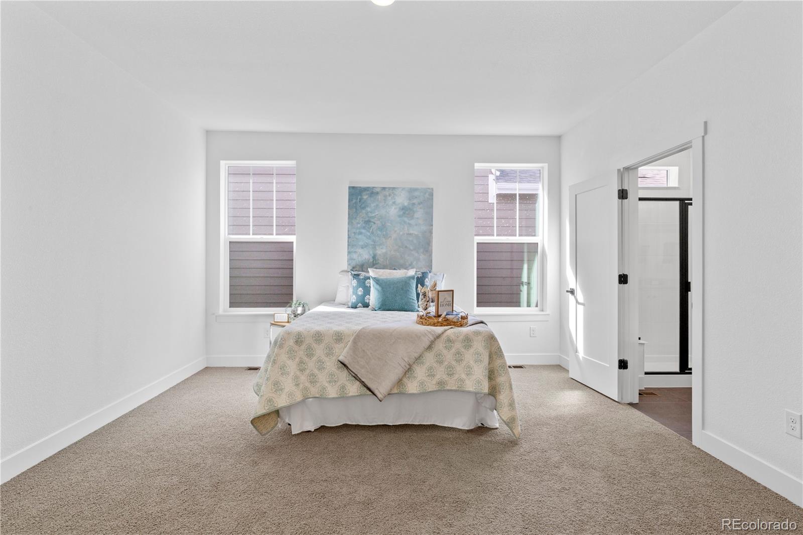 MLS Image #10 for 4517  parkline street,timnath, Colorado
