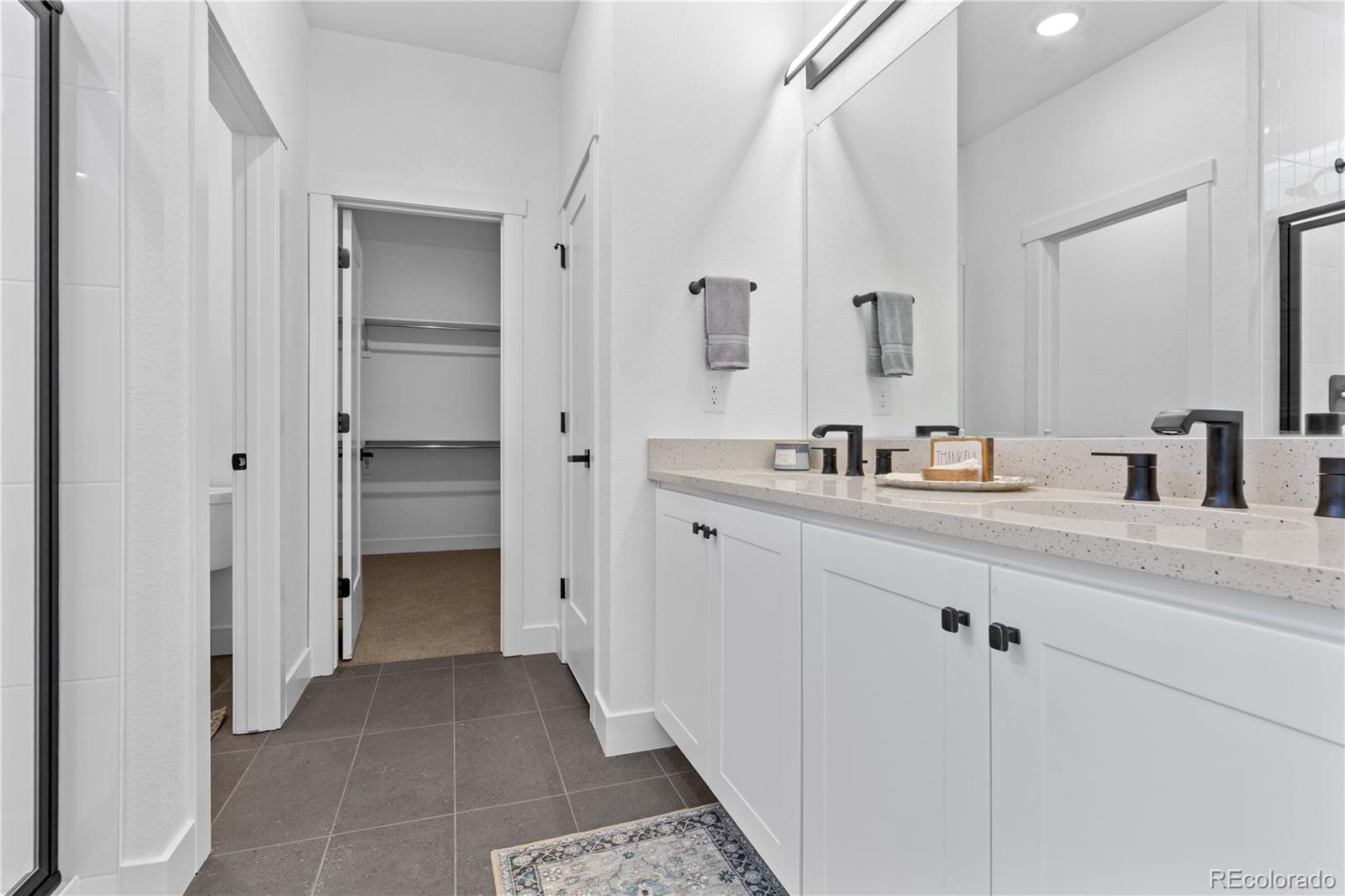 MLS Image #12 for 4517  parkline street,timnath, Colorado