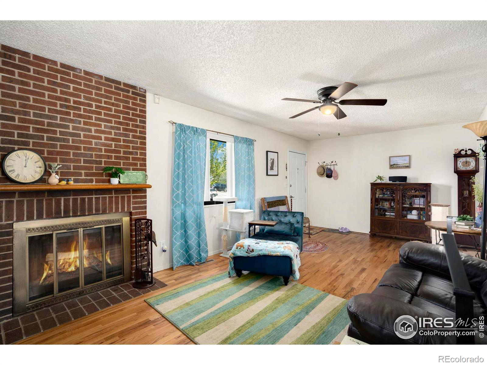 MLS Image #6 for 3514  marigold street,evans, Colorado