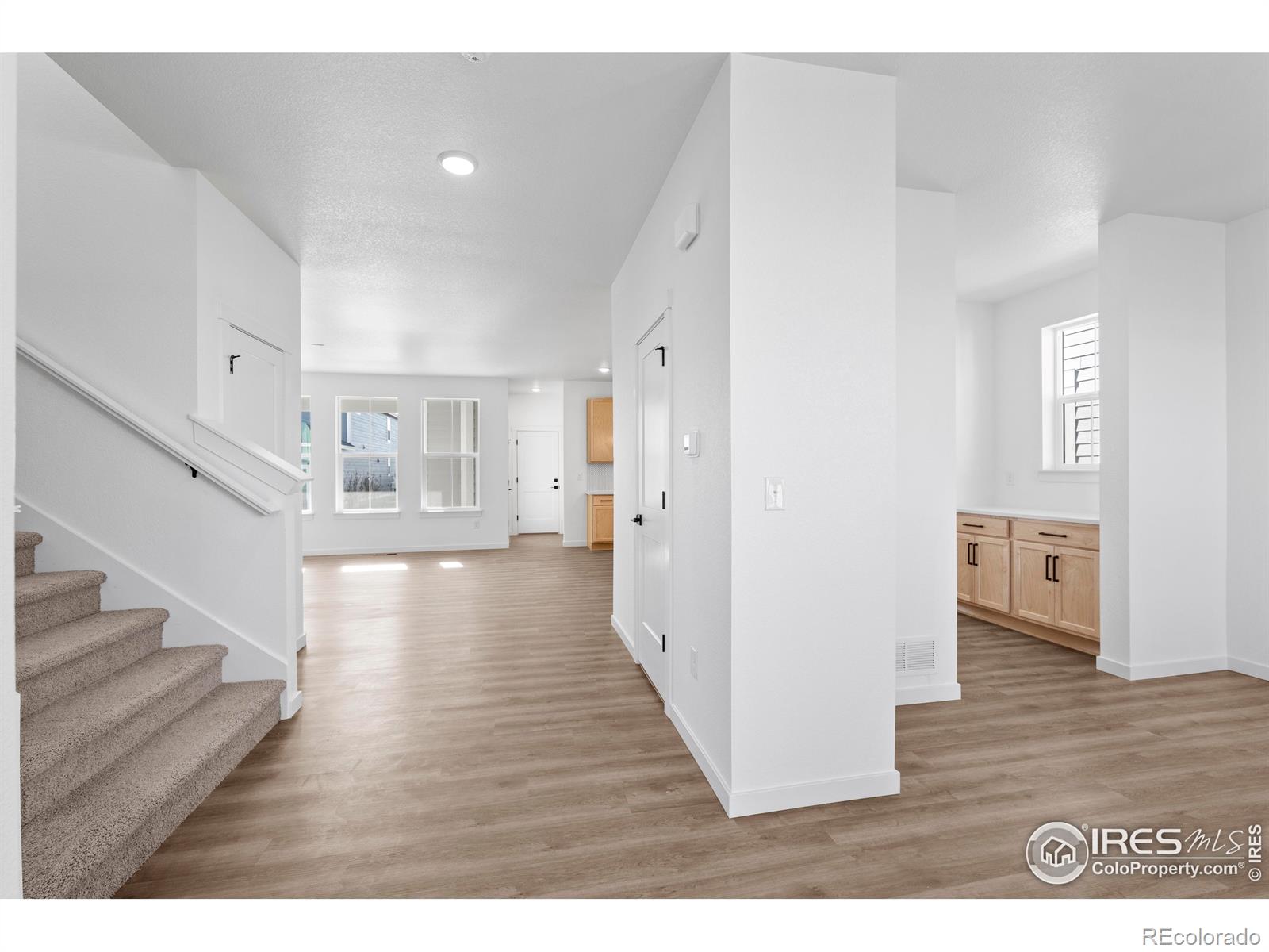 MLS Image #3 for 4486  burl street,timnath, Colorado
