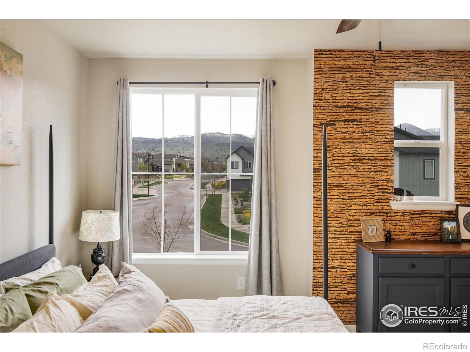MLS Image #13 for 9305 s gore street,arvada, Colorado