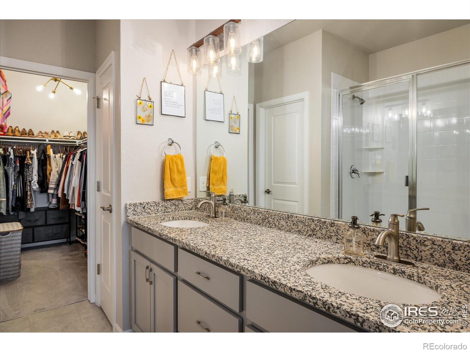 MLS Image #17 for 9305 s gore street,arvada, Colorado