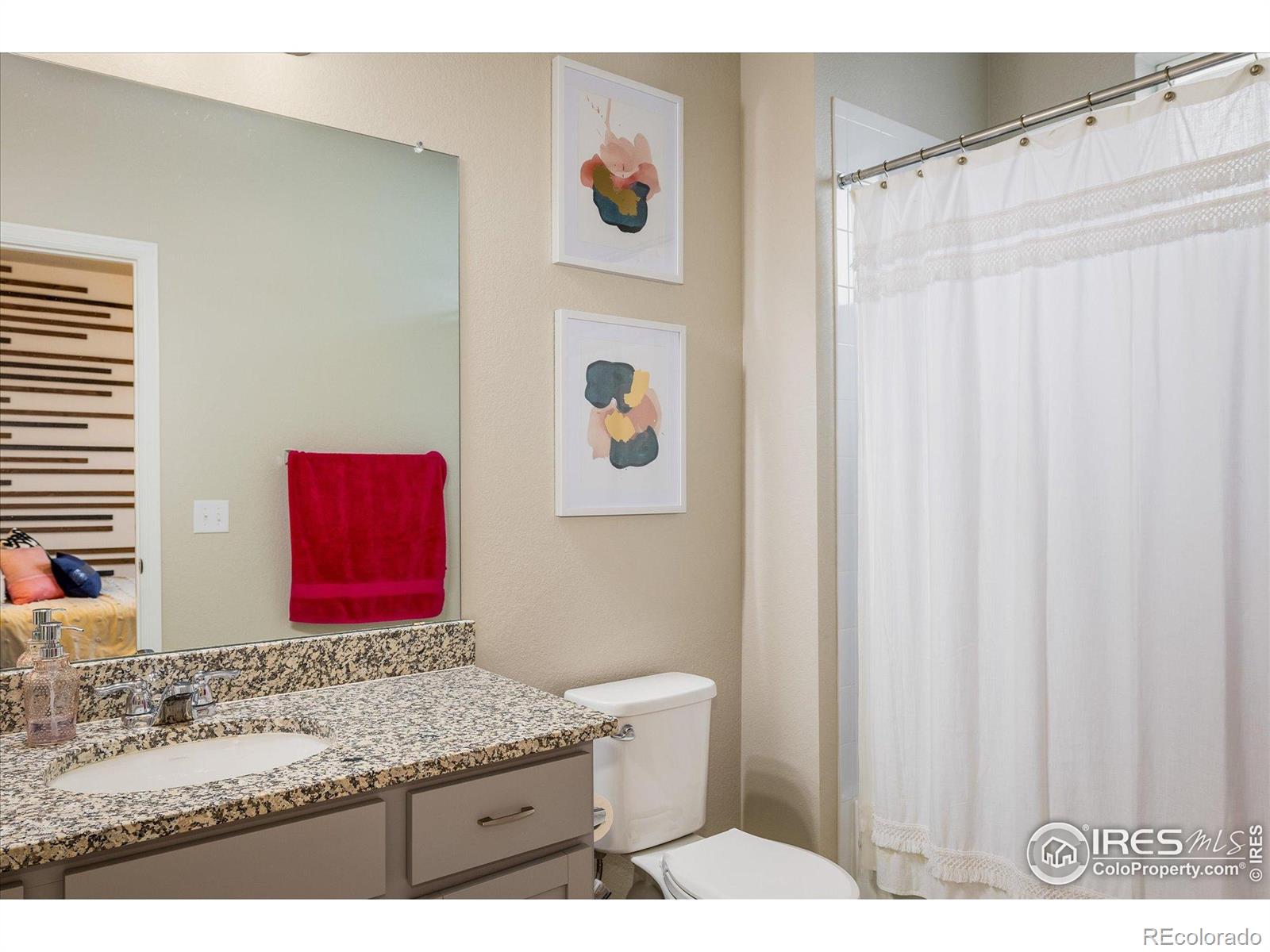 MLS Image #21 for 9305 s gore street,arvada, Colorado