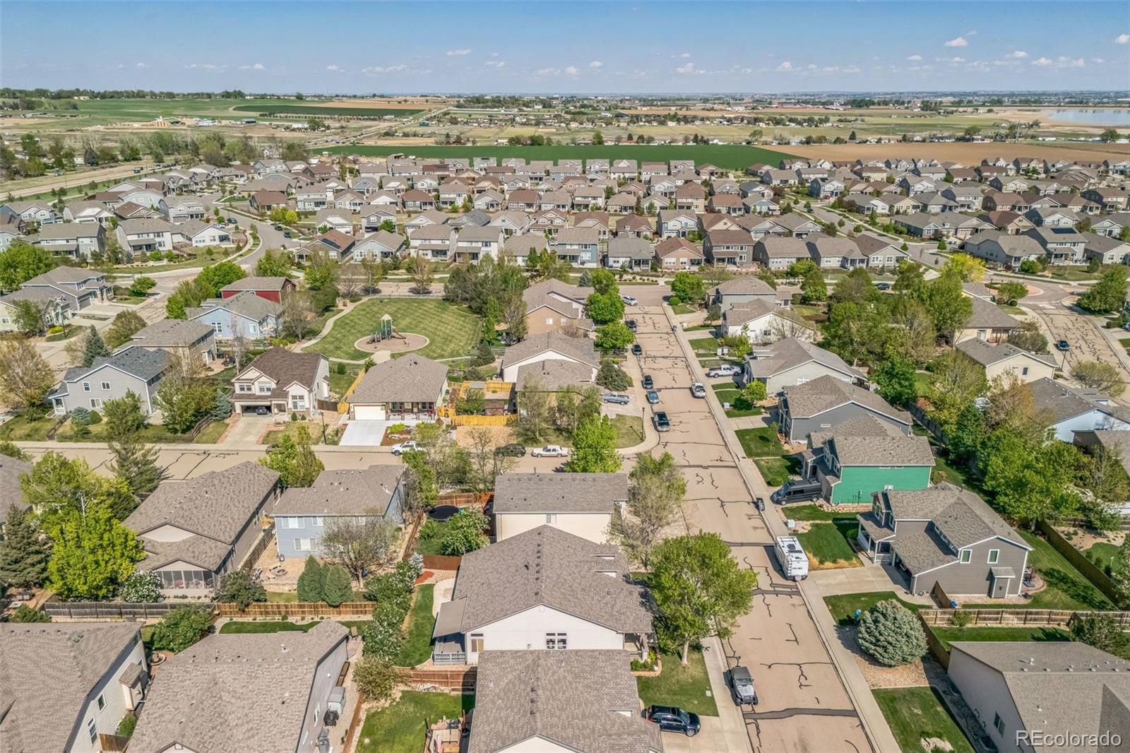 MLS Image #11 for 1404  tonkin place,longmont, Colorado