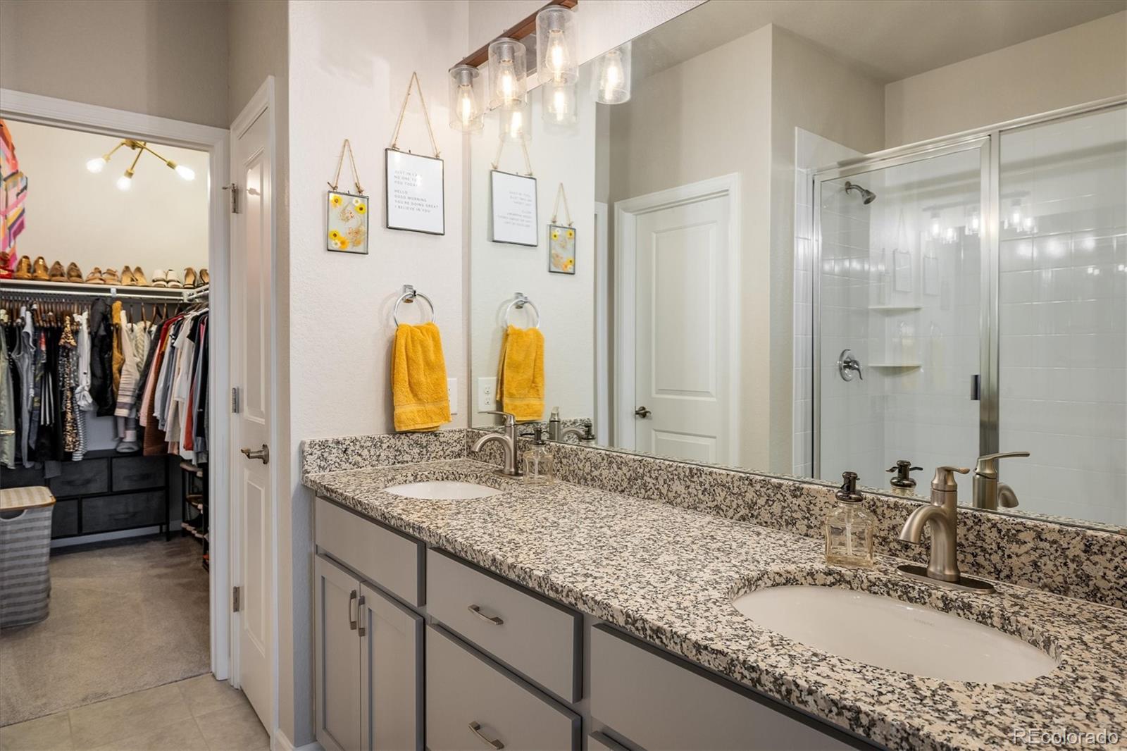 MLS Image #9 for 9305 s gore street,arvada, Colorado