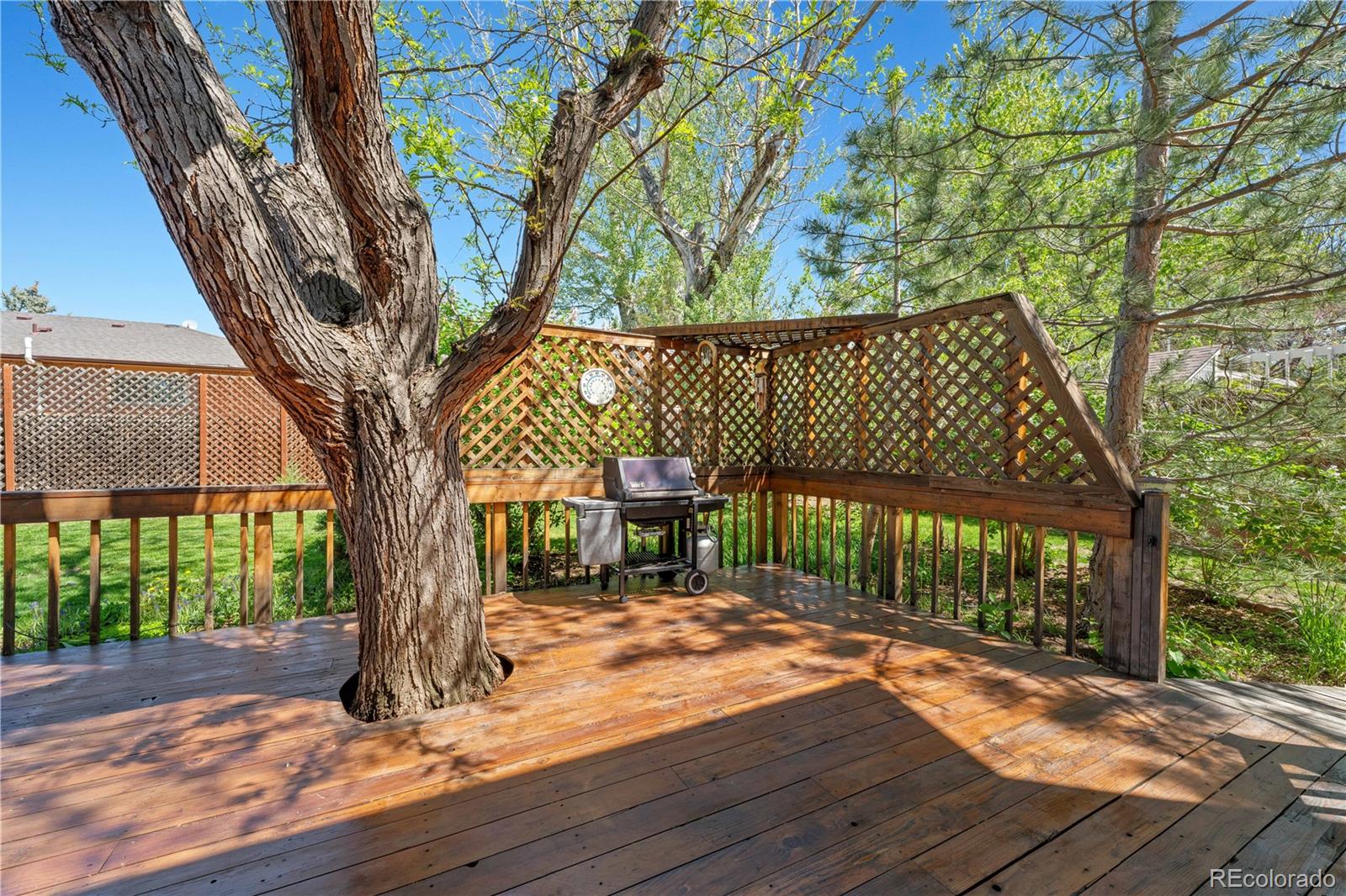 MLS Image #32 for 128  baylor drive,longmont, Colorado