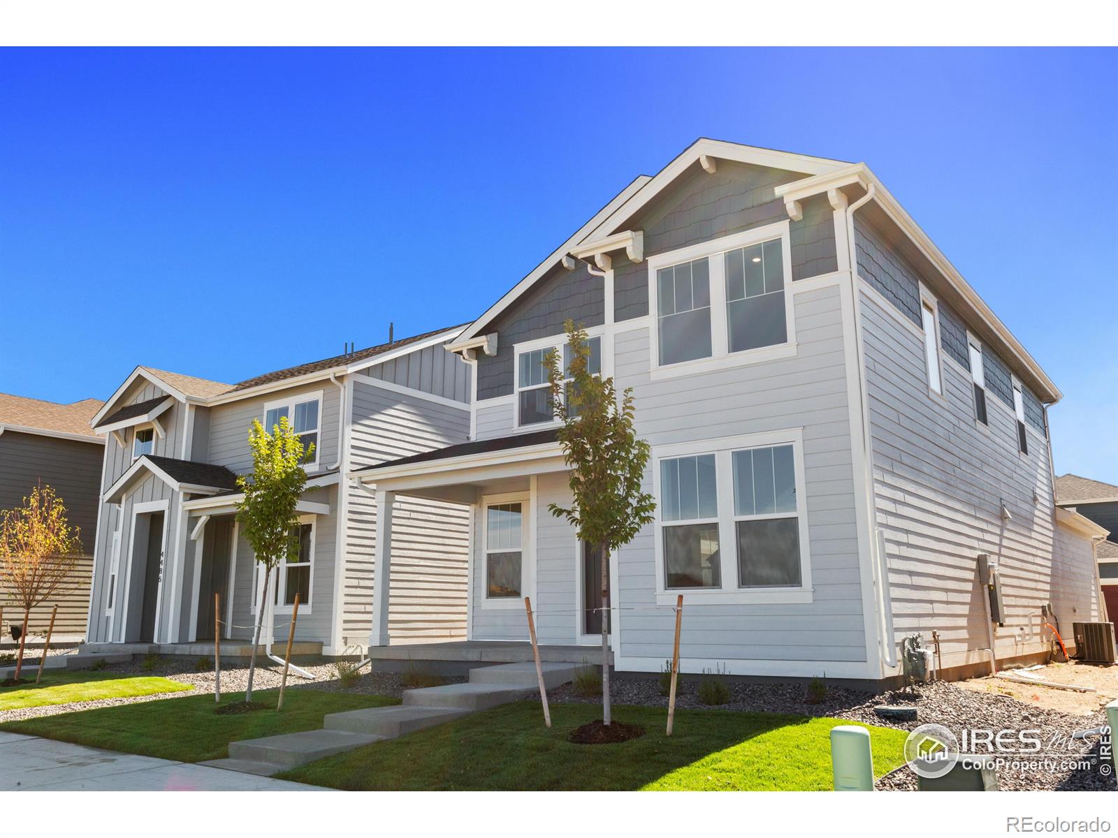 MLS Image #1 for 4492  burl street,timnath, Colorado